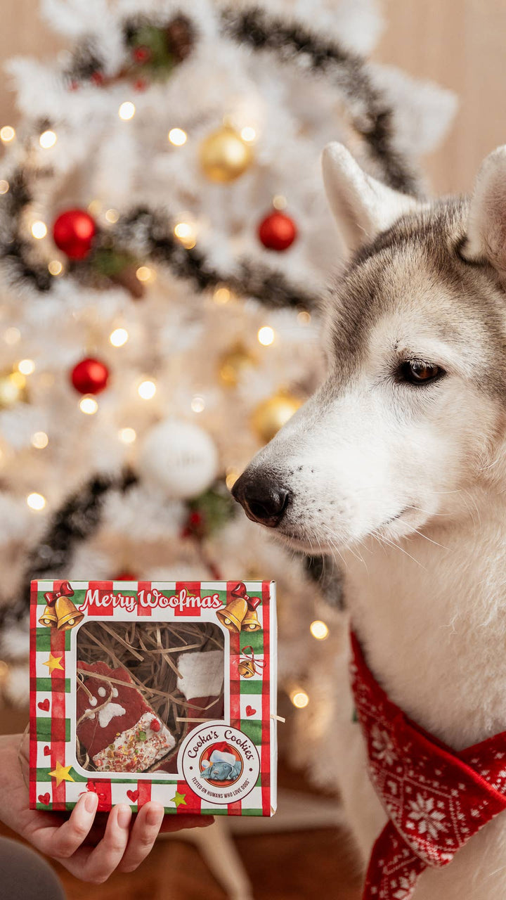 Husky s krabičkou jedlých vánočních ozdob