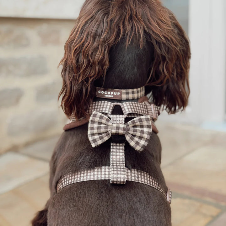 Obojek Cocopup - Cotswold Check