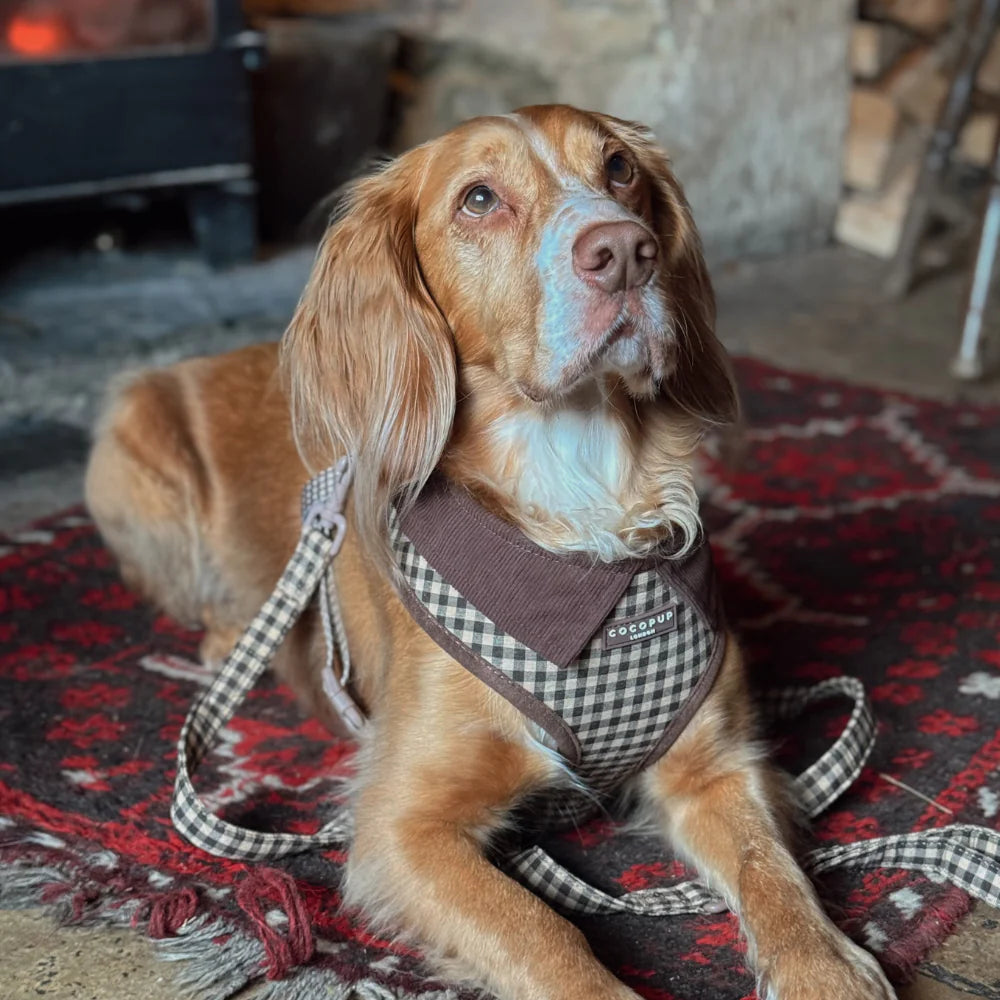 Nastavitelný postroj Cocopup - Cotswold Check