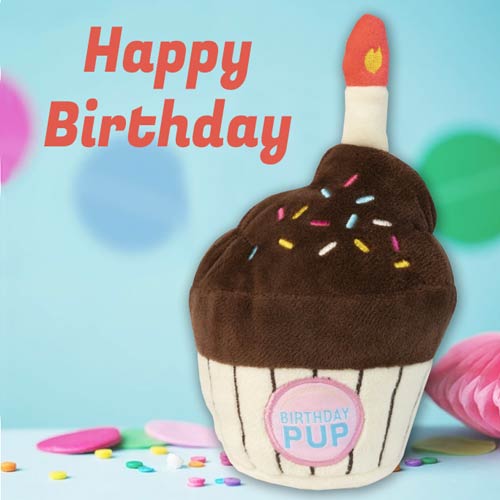 Fuzzyard - Narozeninový cupcake