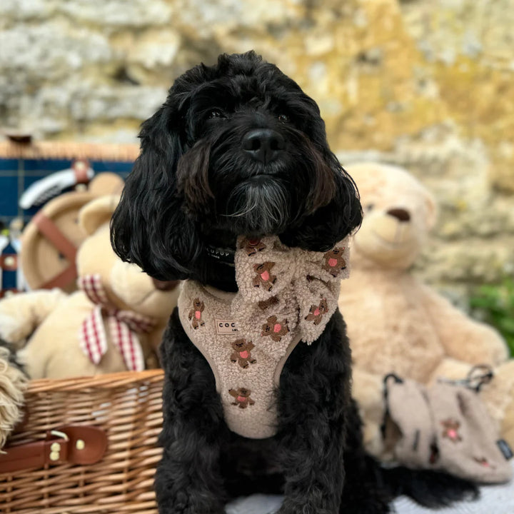 Adjustable harness - Teddy Theo
