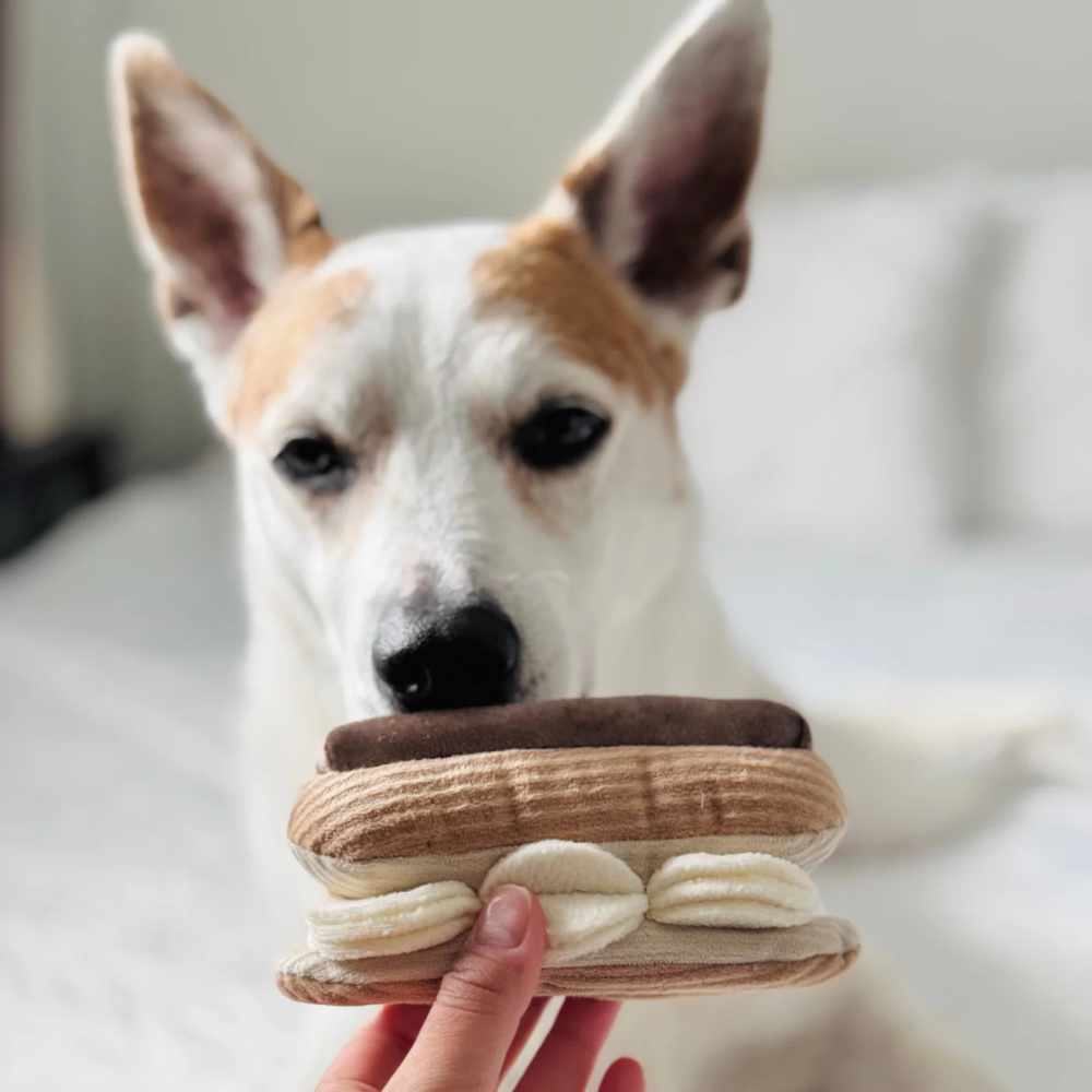 ECLAIR – čmuchací zákusek
