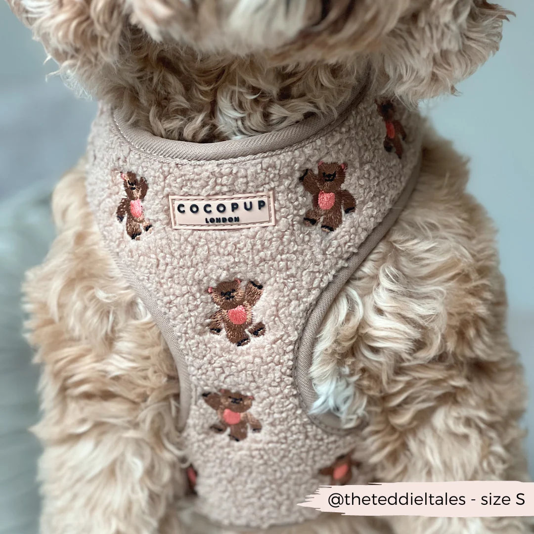 Adjustable harness - Teddy Theo