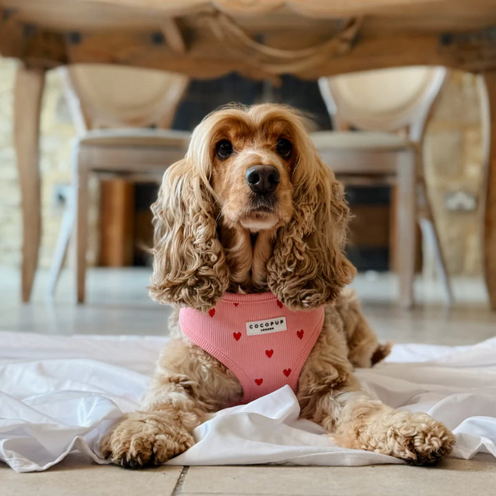 Nastavitelný postroj Cocopup - Pink Heartstrings