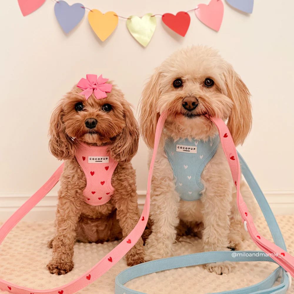 Nastavitelný postroj Cocopup - Pink Heartstrings