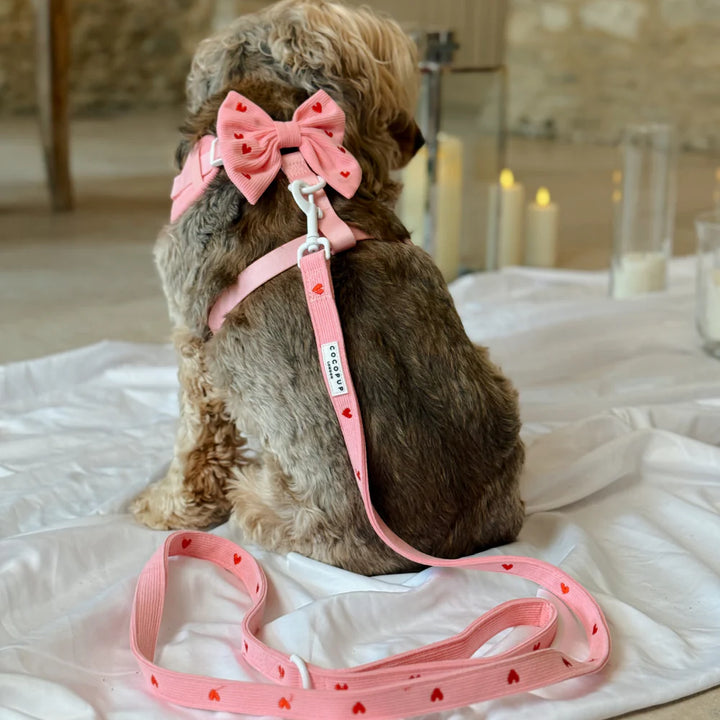 Vodítko Cocopup - Pink Heartstring Cord