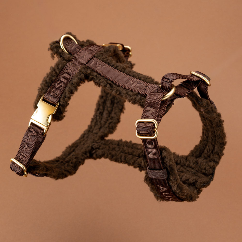 Set Vodítko + Postroj + Obojek + Pouzdro Aussie Maison - Brownie Teddy – Nastavitelný postroj - Brownie Teddy