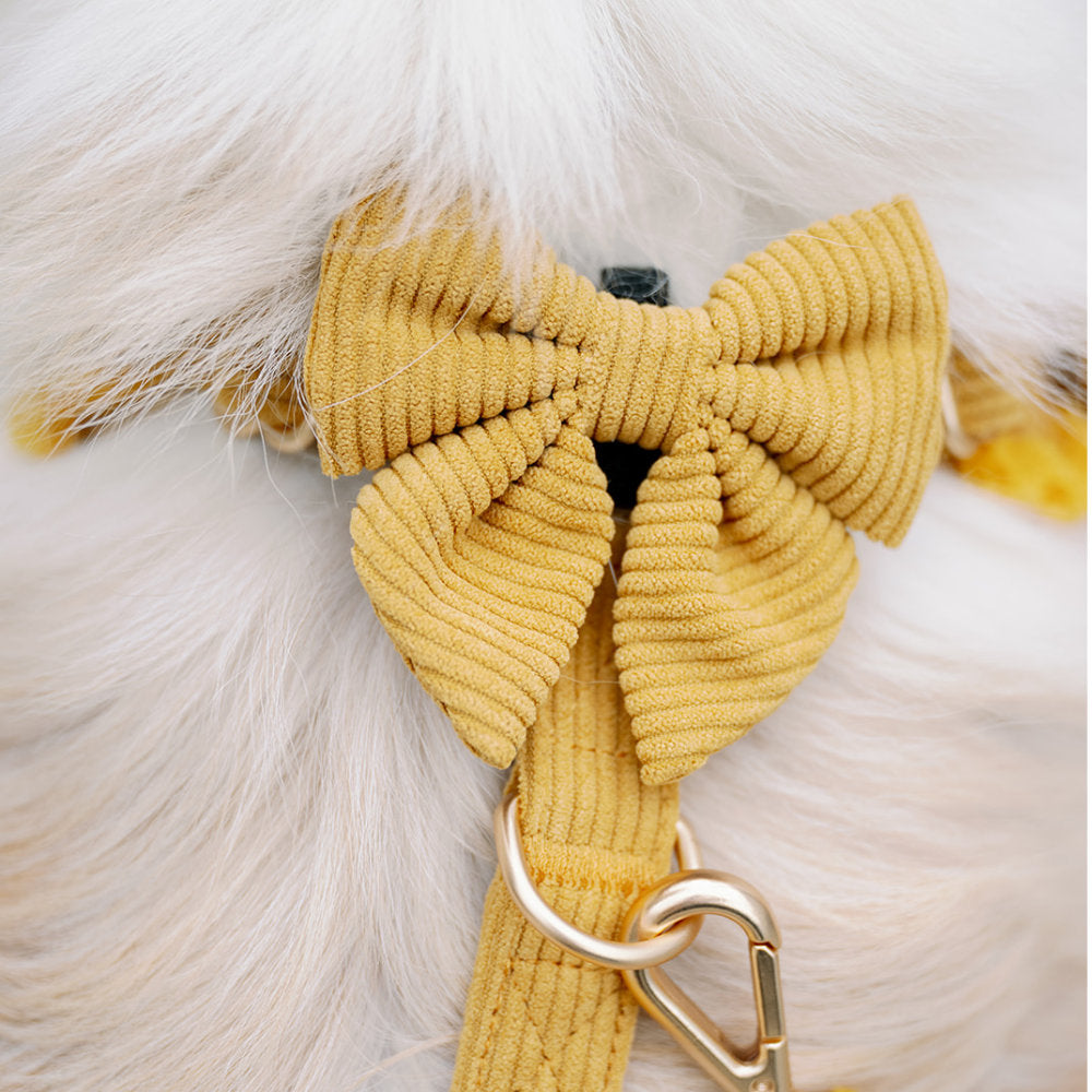 Motýlek Sailor Honey Cord Crush – detail manšestru