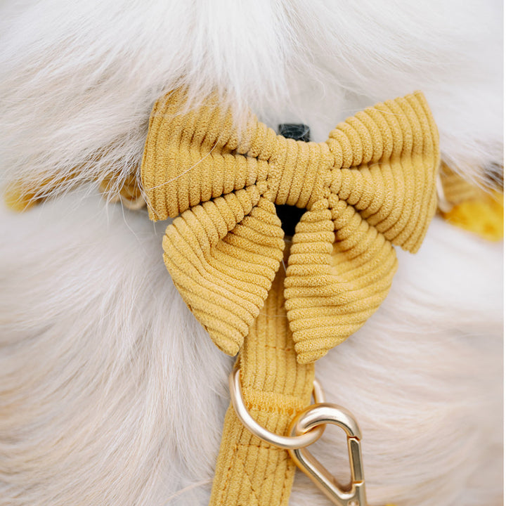 Motýlek Sailor Honey Cord Crush – detail manšestru