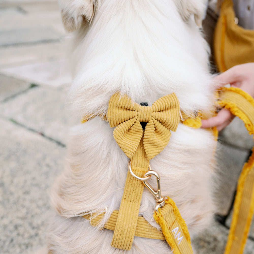 Motýlek Sailor Honey Cord Crush na postroji