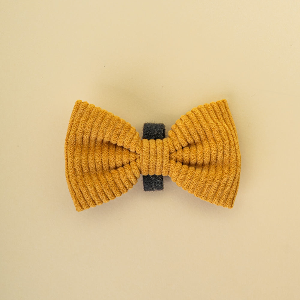 Motýlek Aussie Maison - Honey Cord Crush
