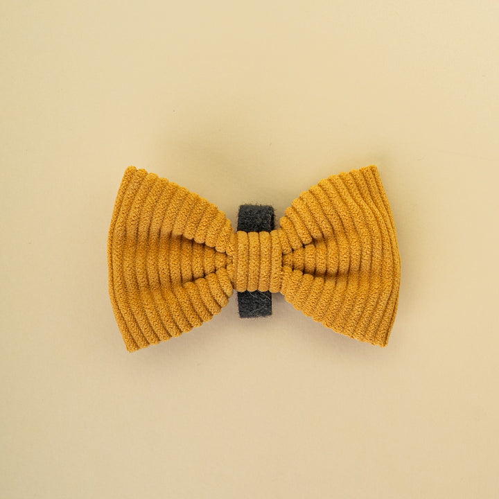 Motýlek Aussie Maison - Honey Cord Crush