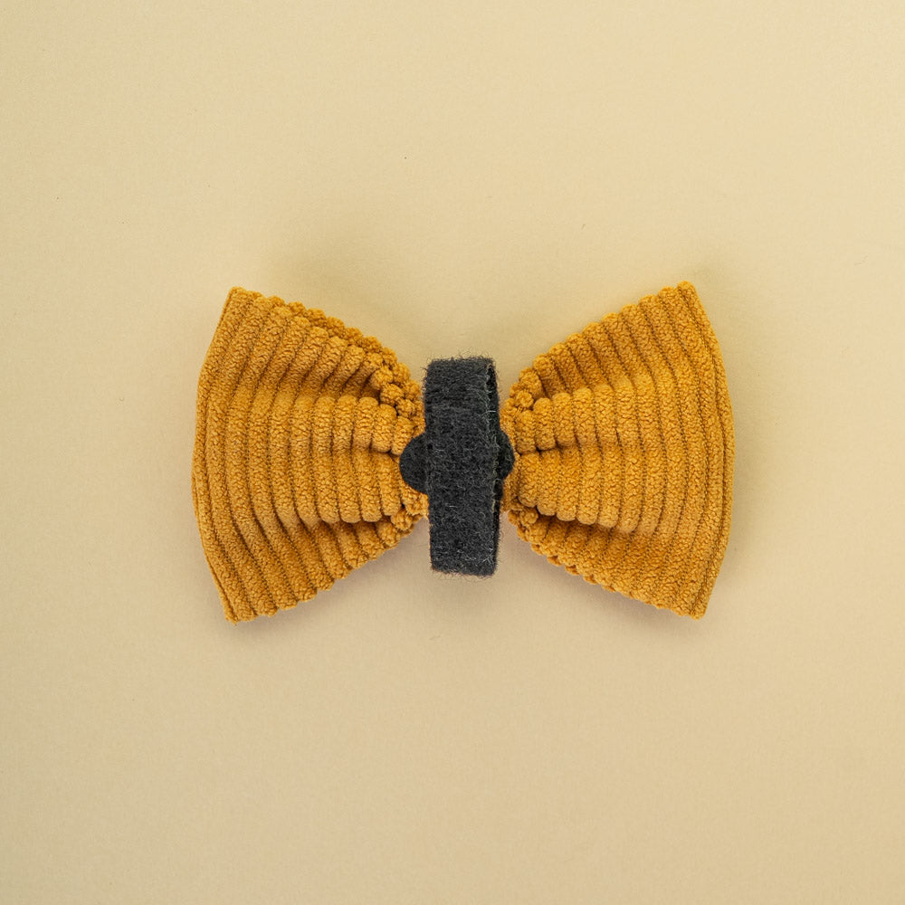 Motýlek Honey Cord Crush – zadní strana se suchým zipem