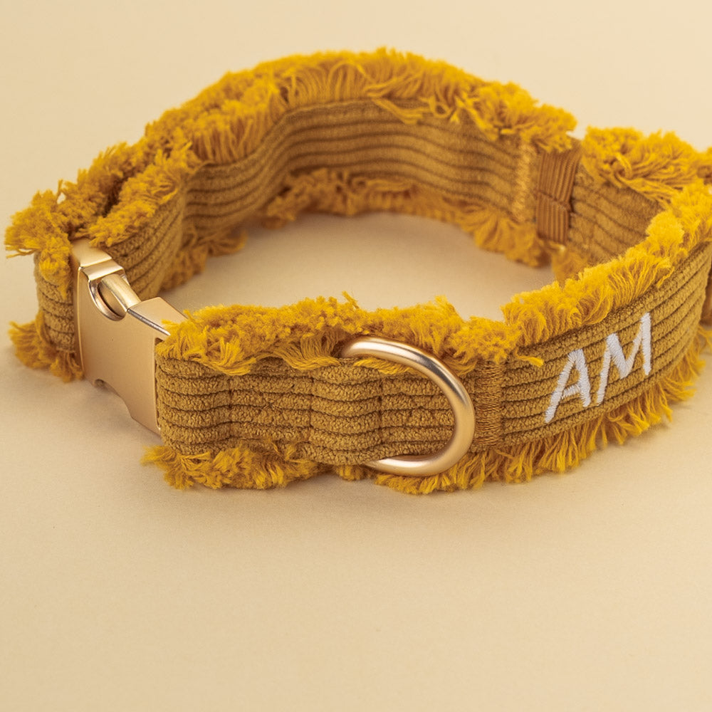 Obojek Honey Cord Crush – detail výšivky AM a zlaté přezky