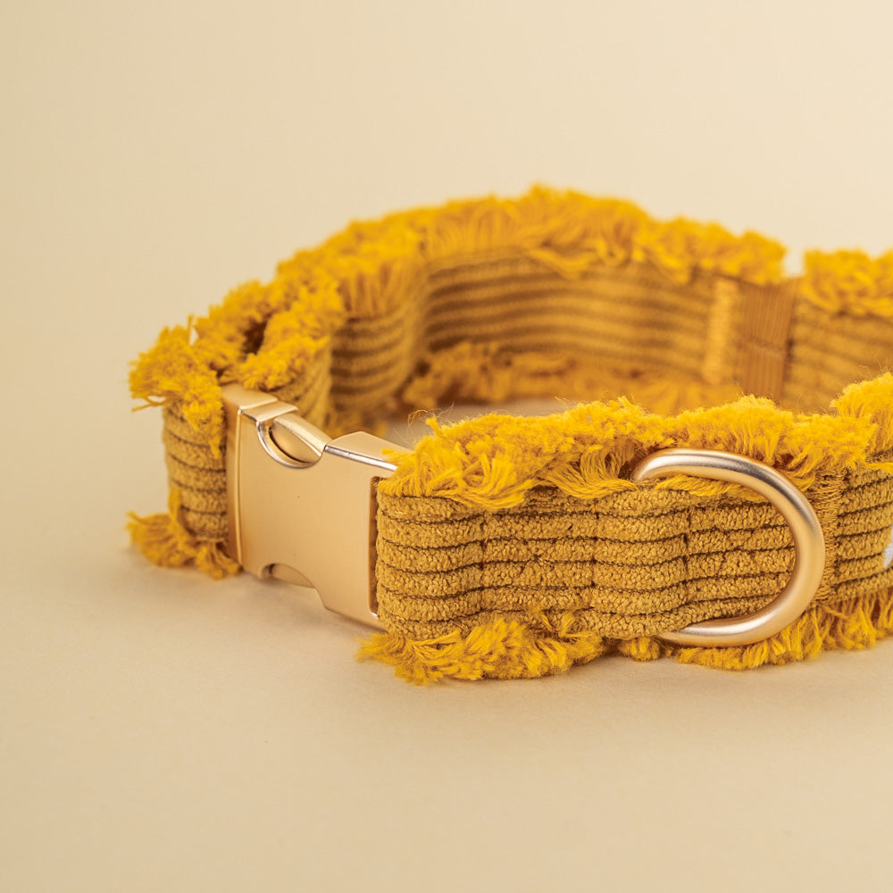 Obojek Honey Cord Crush – zlatá přezka a D-kroužek