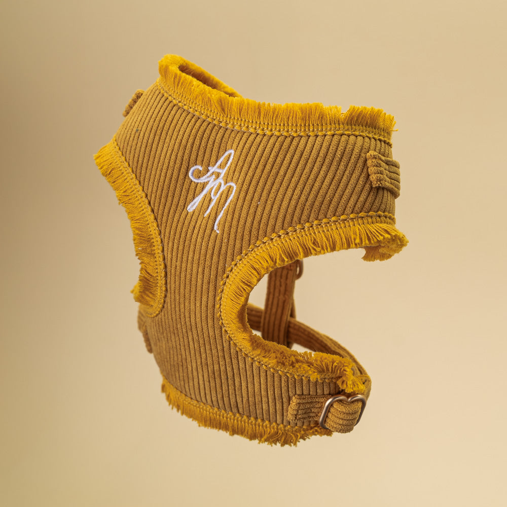 Postroj Honey Cord Crush – boční pohled se zlatými přezkami