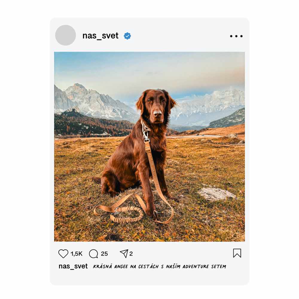 Caramel - Adventure vodítko s amortizérem