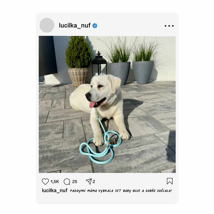 Dog leash Baby Blue