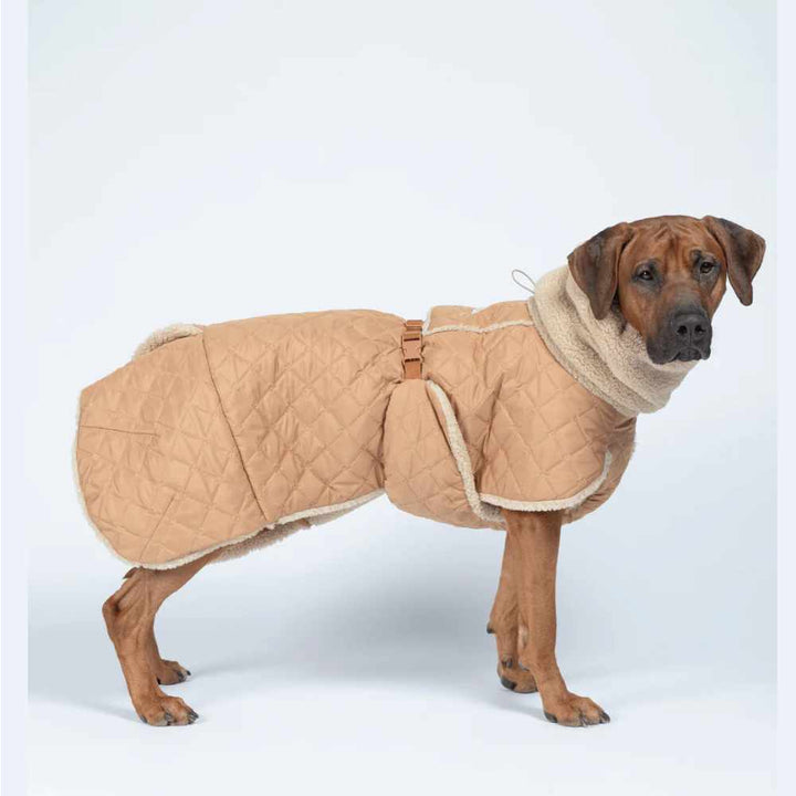 Prošívaný kabátek Paikka Sherpa - Camel
