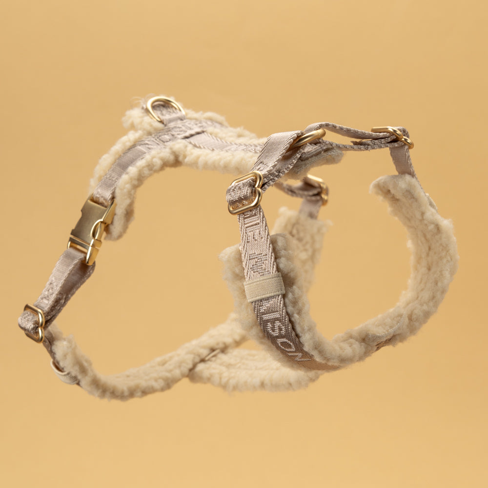 Adjustable harness - Blondie Teddy