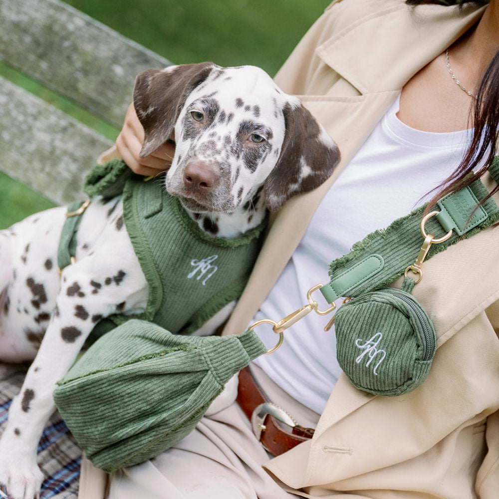 Dalmatin v manšestrovém postroji Khaki Cord Crush, Moon Bag a kapsička na pamlsky