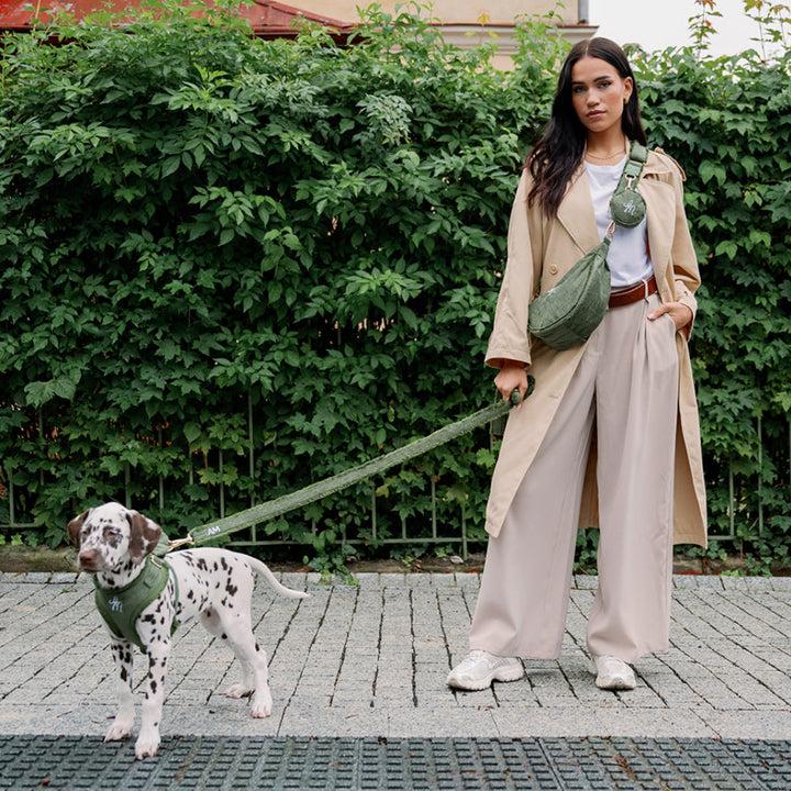 Kompletní look Khaki Cord Crush – vodítko, postroj, Moon Bag a kapsička