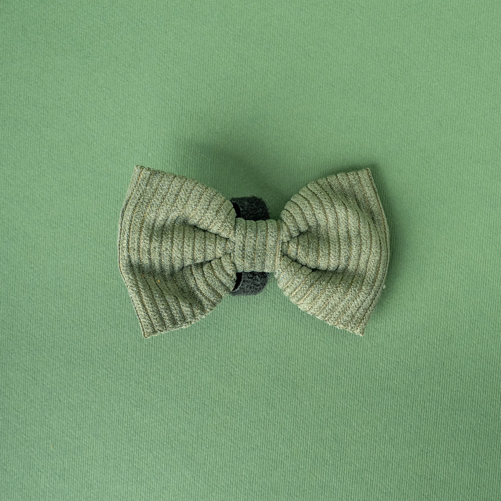 Motýlek Aussie Maison - Khaki Cord Crush
