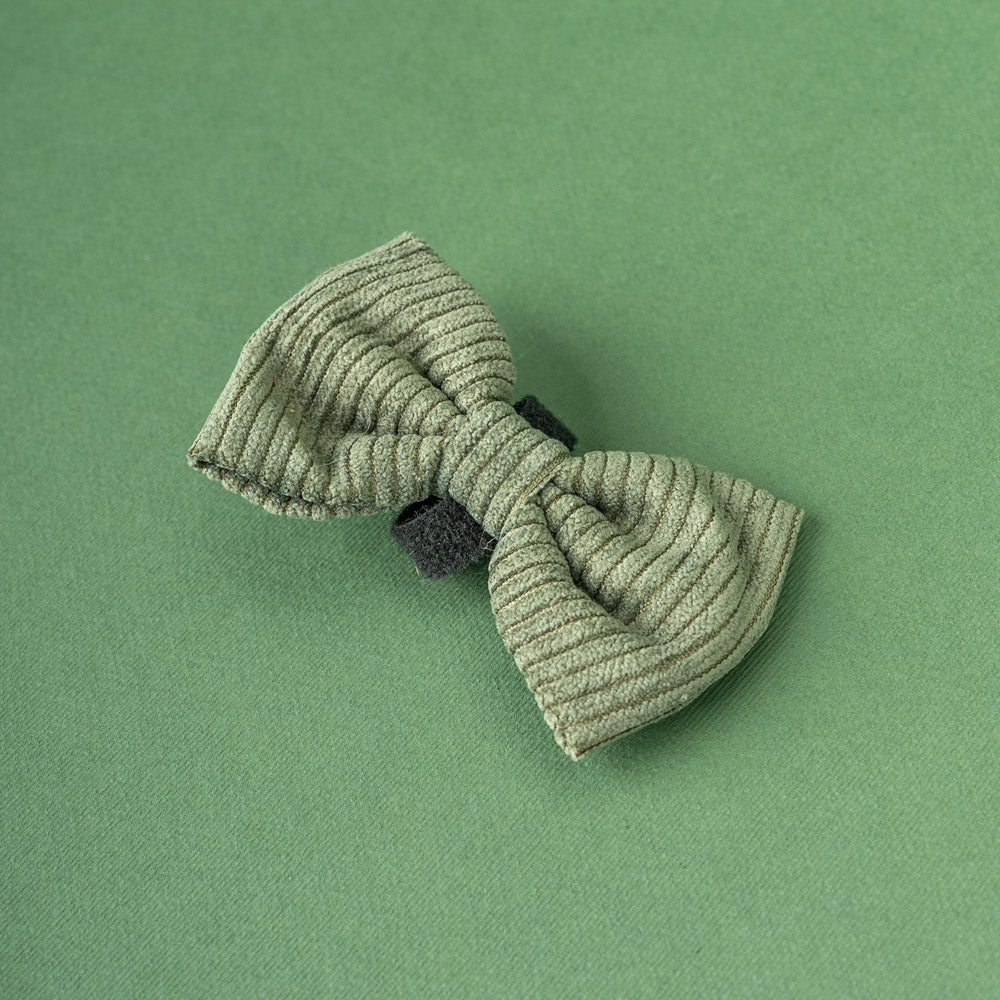 Motýlek Khaki Cord Crush – pohled zboku
