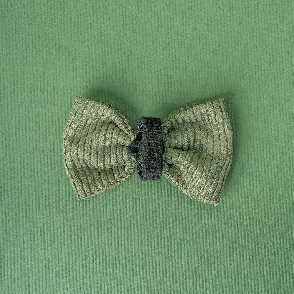 Motýlek Khaki Cord Crush – zadní strana se suchým zipem