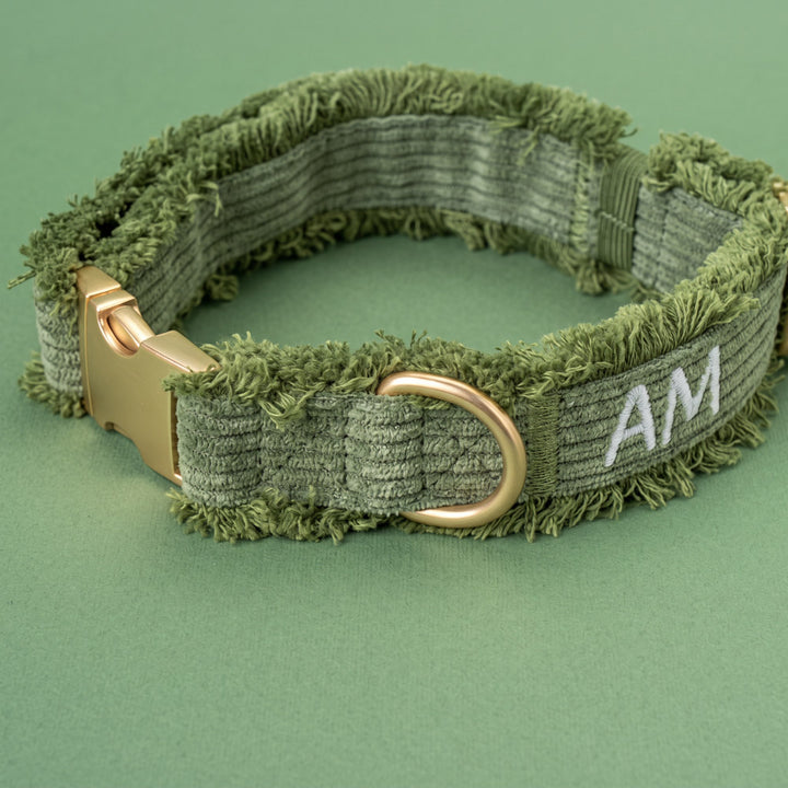 Obojek Khaki Cord Crush – detail výšivky AM, zlaté přezky a D-kroužku