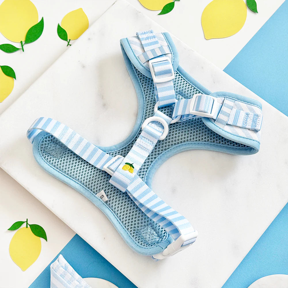 Nastavitelný postroj Cocopup - Living La vida Lemon