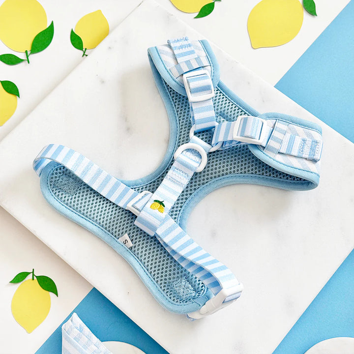 Nastavitelný postroj Cocopup - Living La vida Lemon