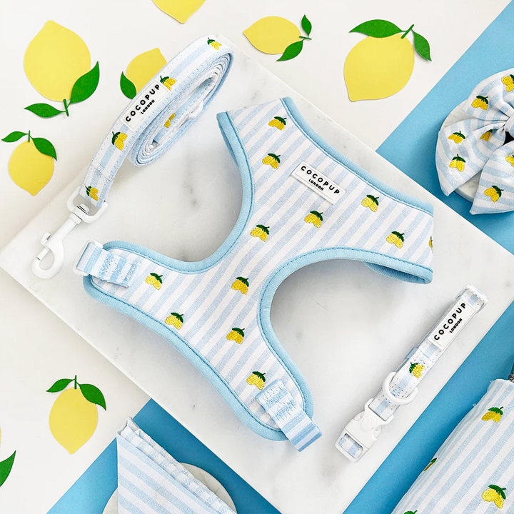 Nastavitelný postroj Cocopup - Living La vida Lemon