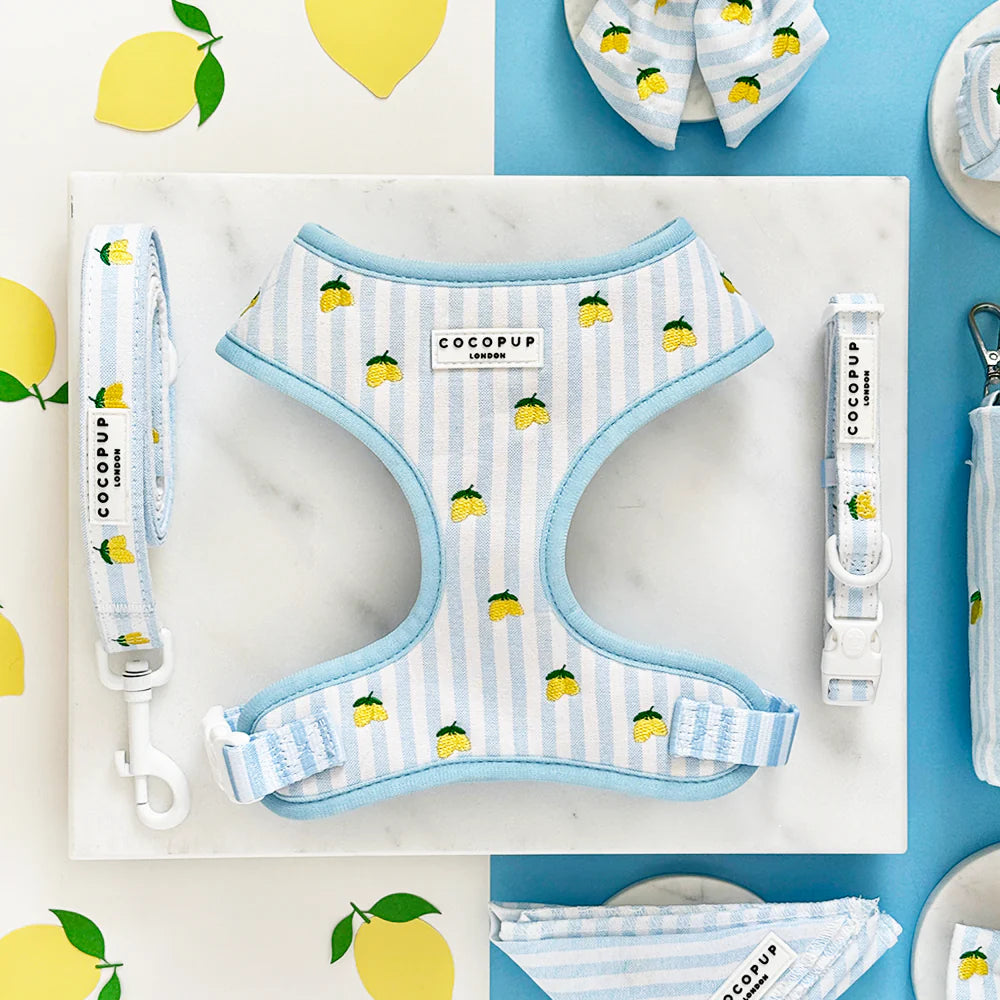 Vodítko Cocopup - Living la vida Lemon