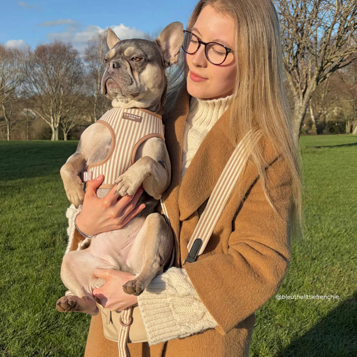 Popruh na pamlskovník CocoPup – London Linen Stripes