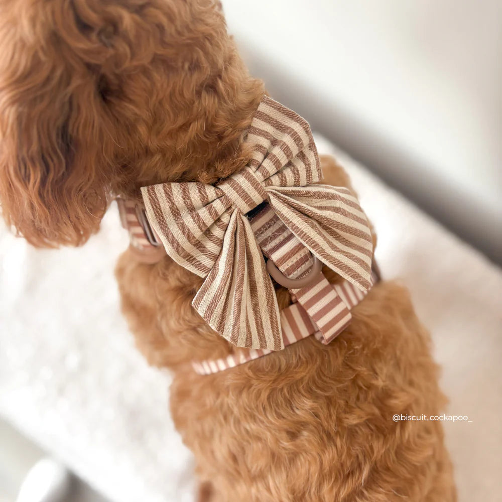Motýlek Cocopup – London Linen Stripes