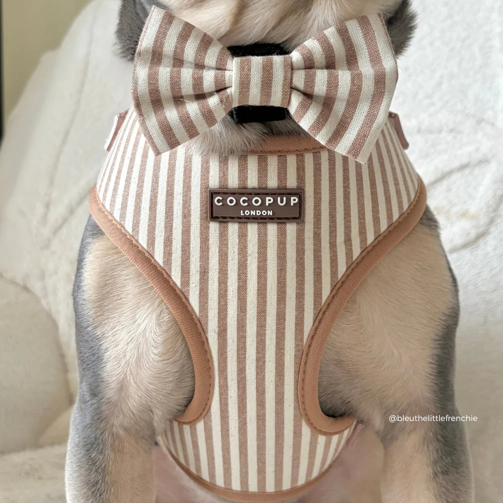 Nastavitelný postroj Cocopup – LONDON LINEN