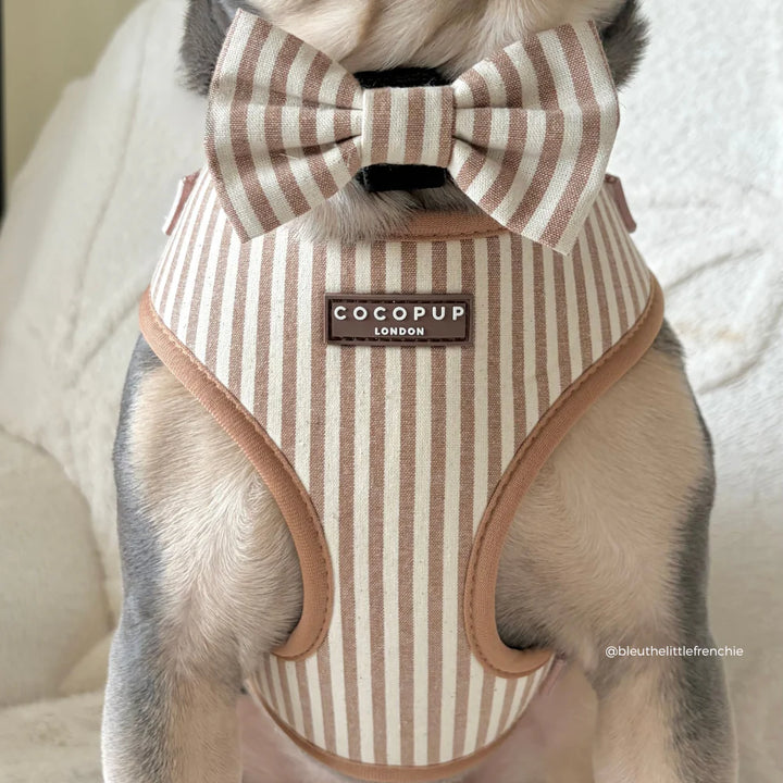 Nastavitelný postroj Cocopup – LONDON LINEN