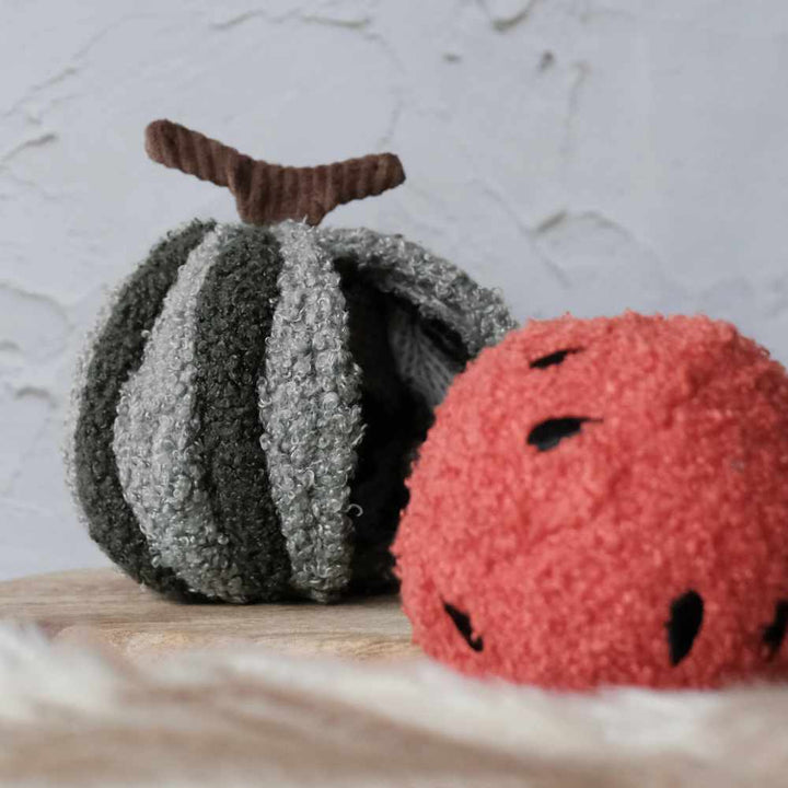 WATERMELON POP – čmuchací meloun s míčkem