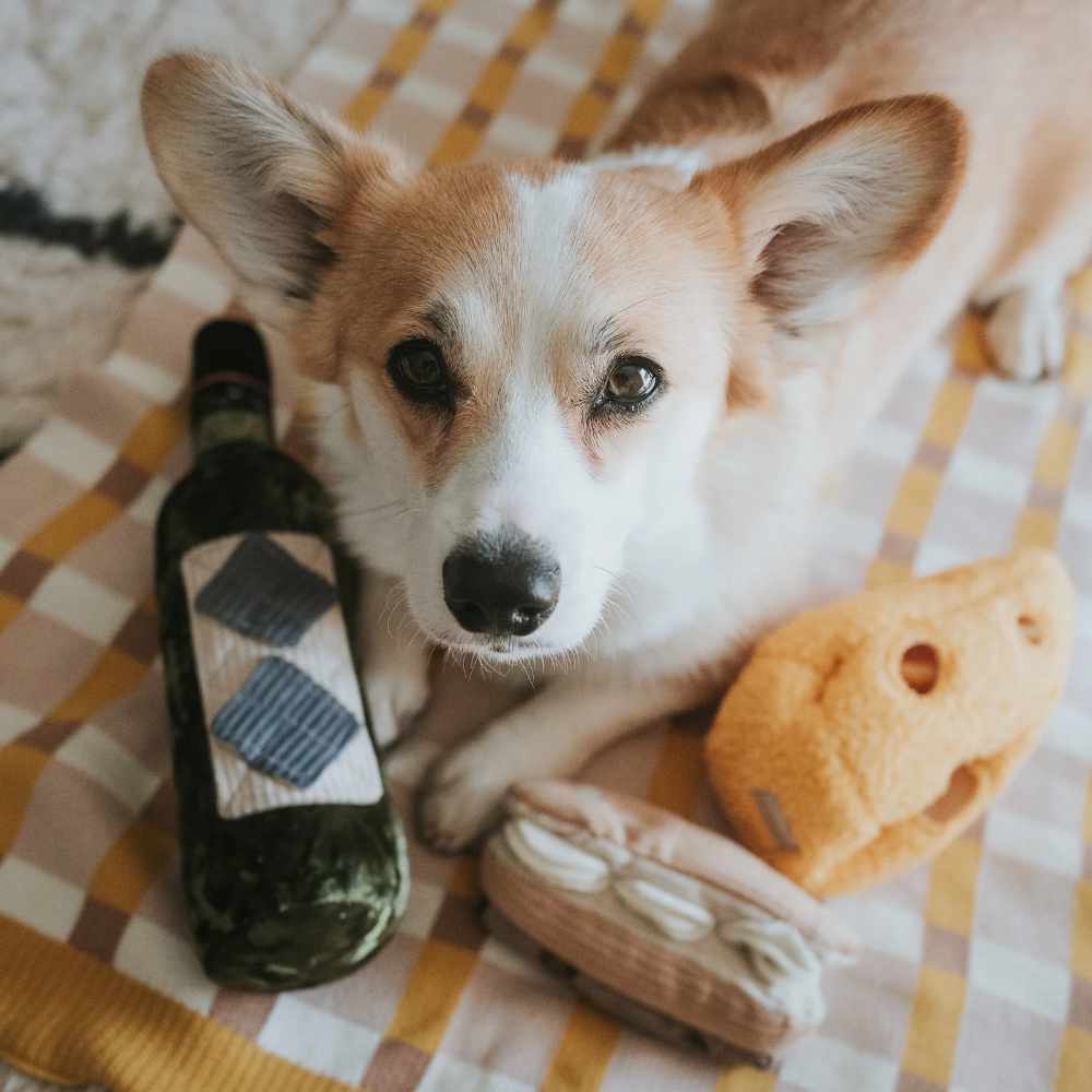 Interaktivní čmuchací hračka - Merlot