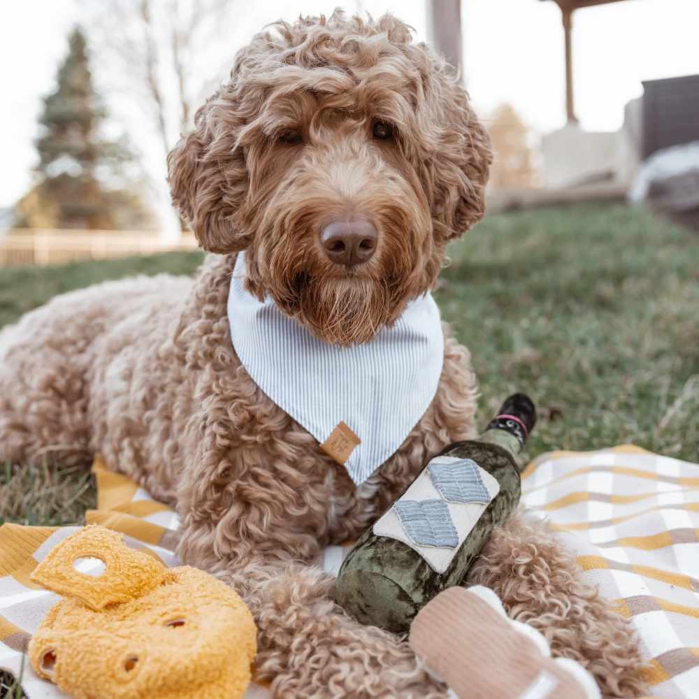 Interaktivní čmuchací hračka - Merlot