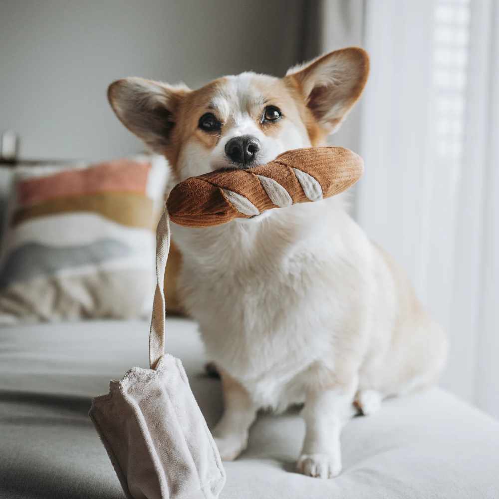 MINI BAGUETTE – plyšová bageta