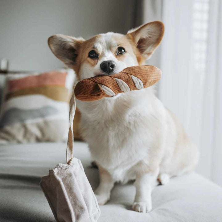 MINI BAGUETTE – plyšová bageta