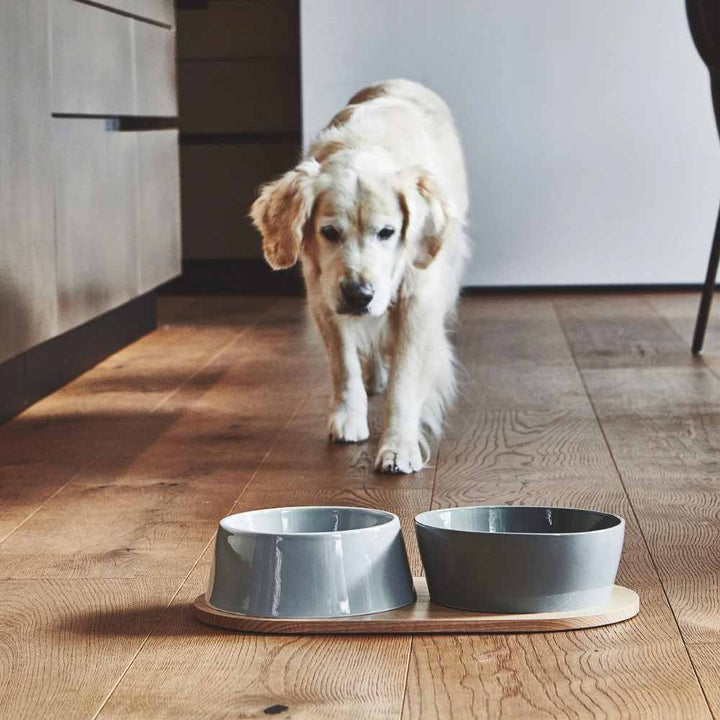 Miacara Porcelánové misky -Doppio Beton (2kusy)