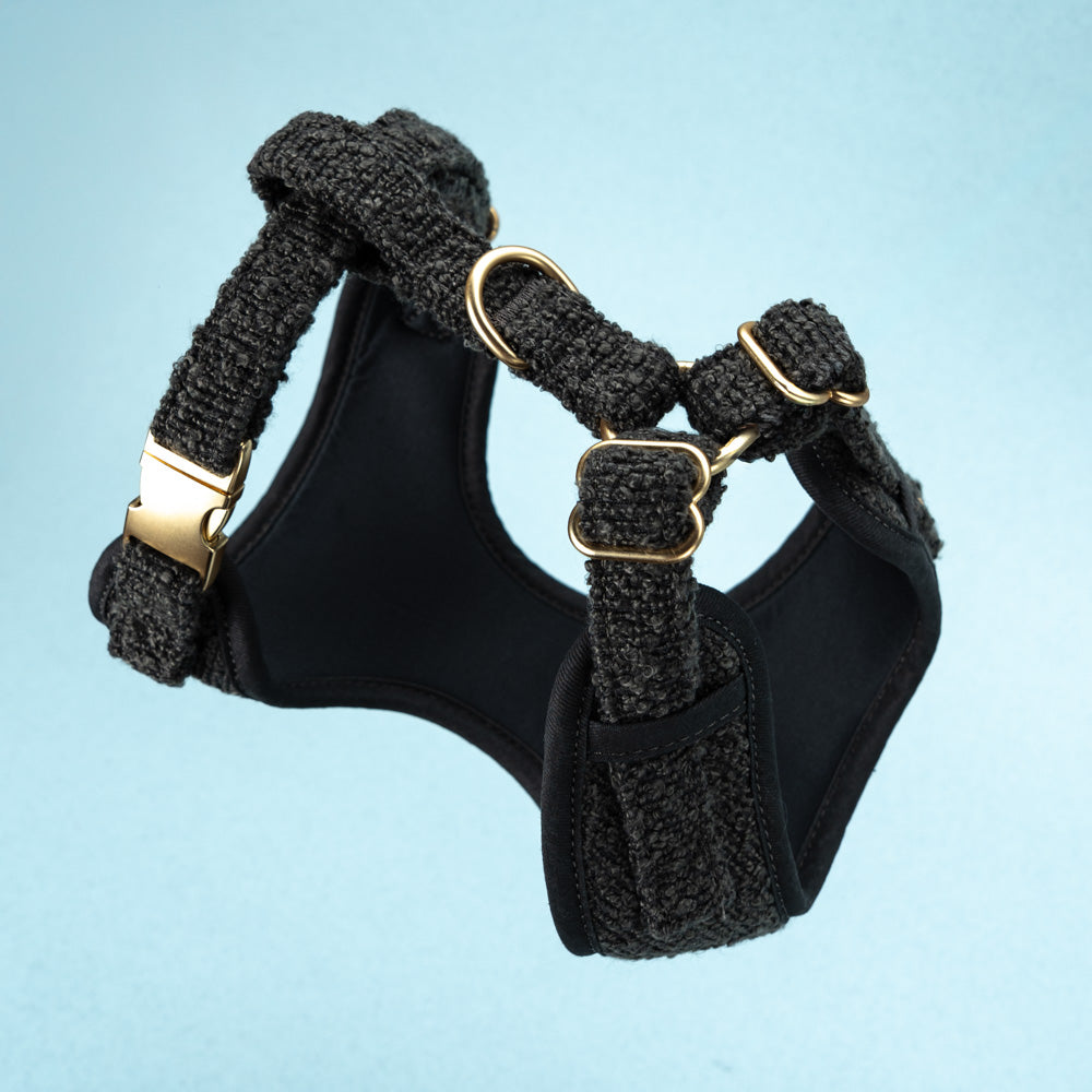Adjustable harness - Graphite Bouclé