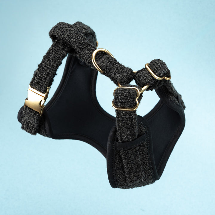 Adjustable harness - Graphite Bouclé