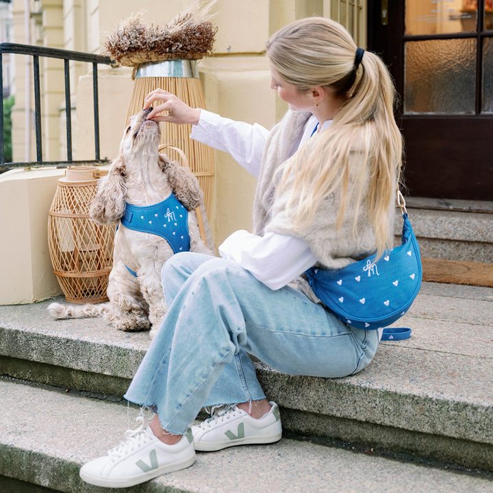 Moon Bag Leckerlibeutel Aussie Maison - Blondie Teddy