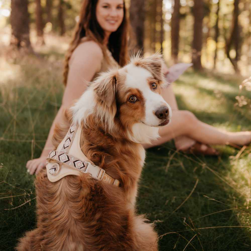 Adventure harness Nude Navajo