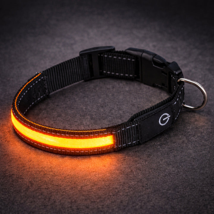 Svítící LED obojek