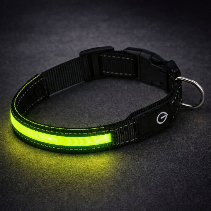 Svítící LED obojek